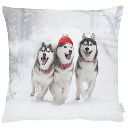 Apelt Kissenh&uuml;lle