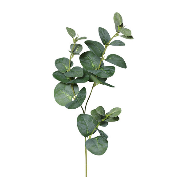 DPI Eukalyptuszweig 64cm