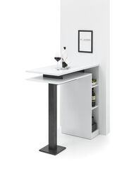 Bartisch