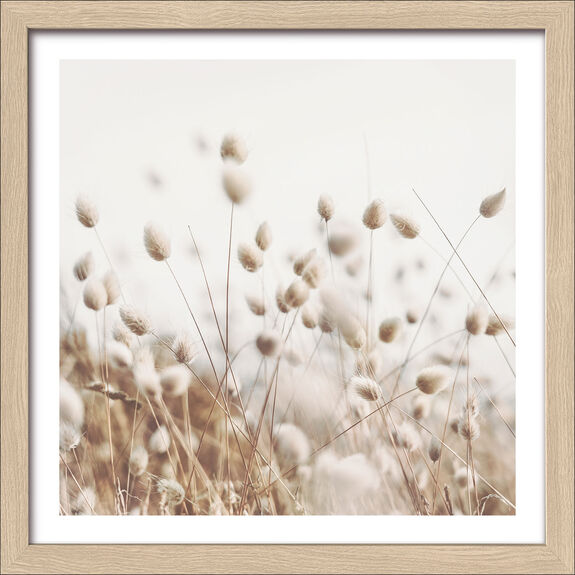 Pro Art Kunstdruck gerahmt 28x28cm