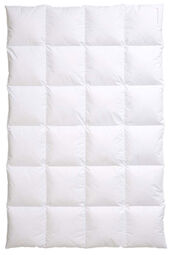 CENTA-STAR Kassettenbett 1260g