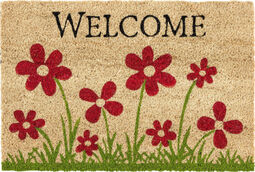 Astra Fu&szlig;matte