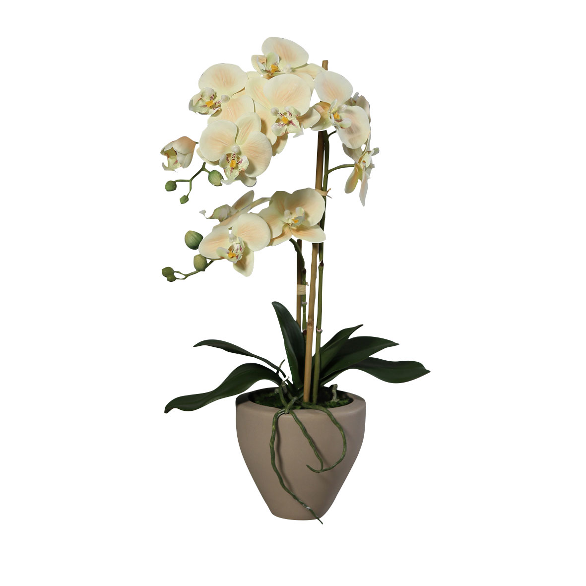 Orchideentopf 57cm