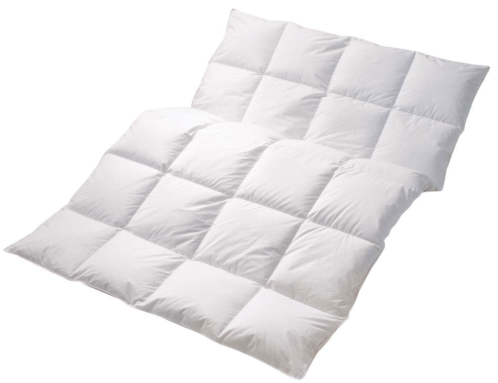 CENTA-STAR Daunen-Einziehdecke 530g image number 2