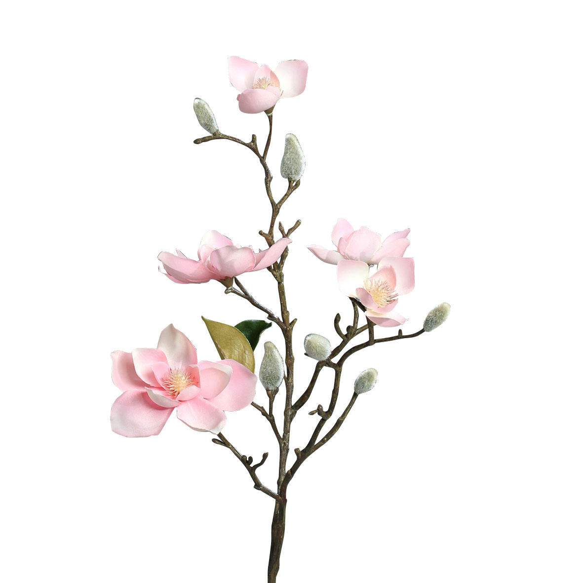 Magnolie 64cm image number null