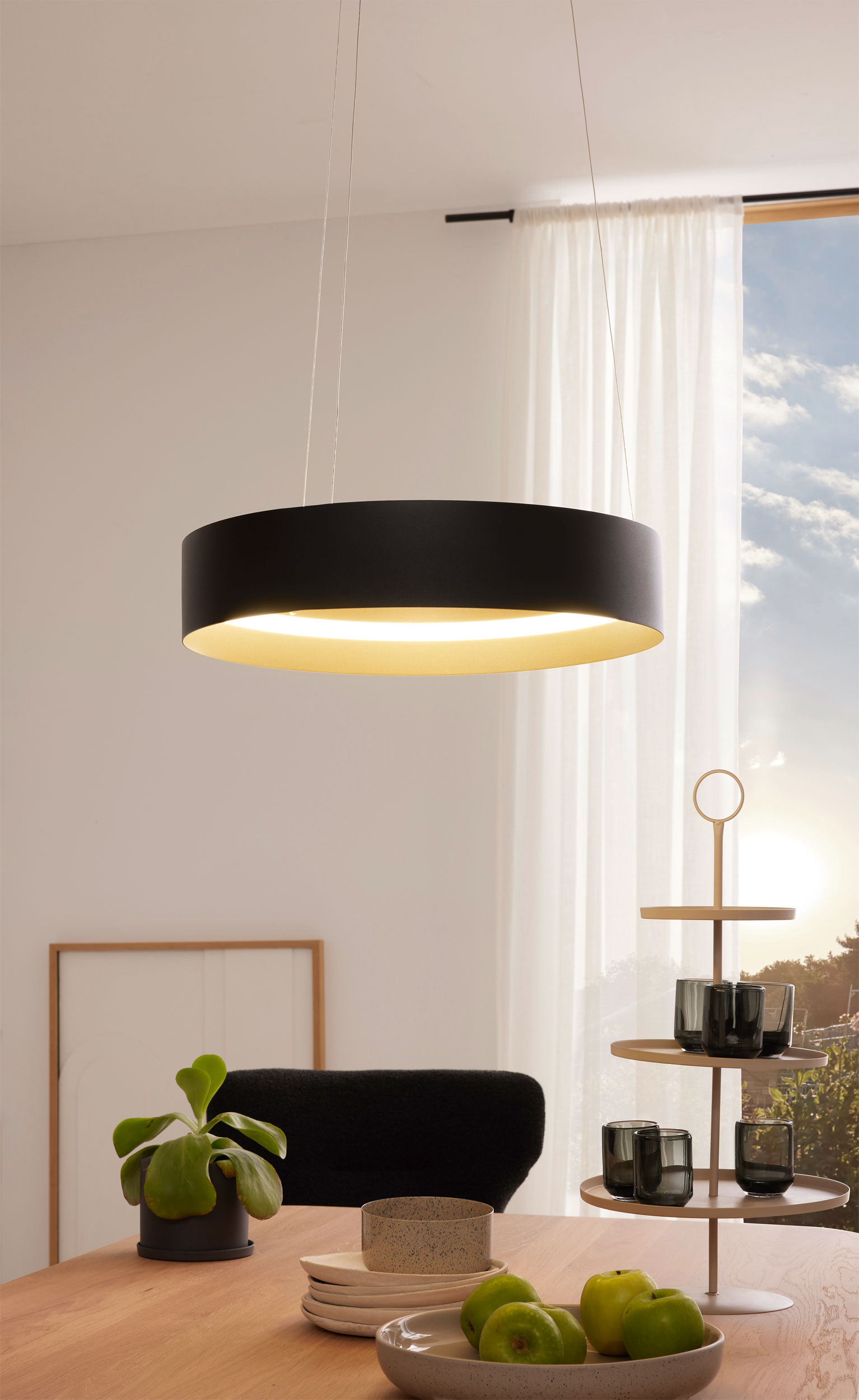 LED-Pendelleuchte 1flg image number null
