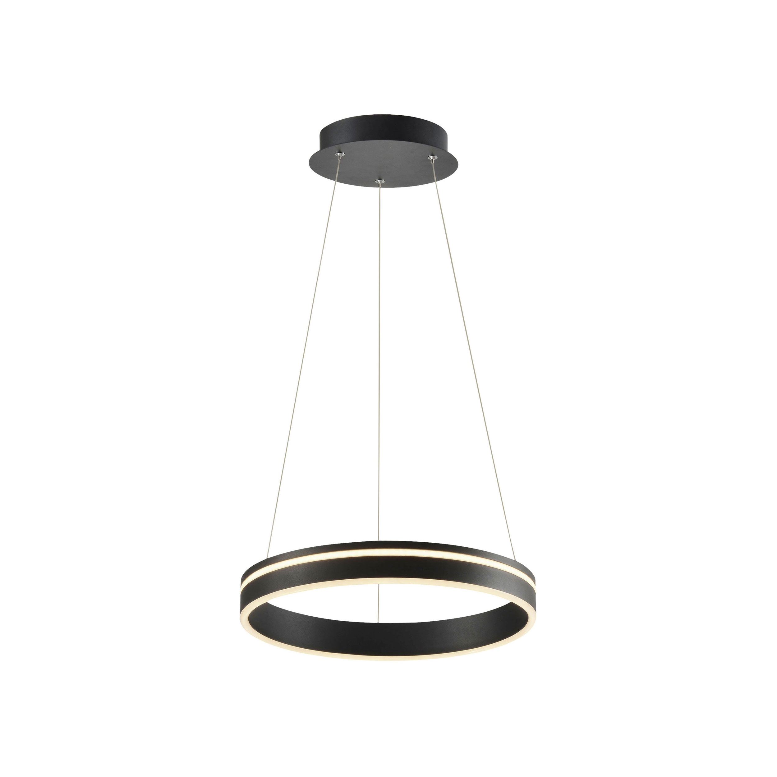 Paul Neuhaus LED-Pendelleuchte 1flg image number 1