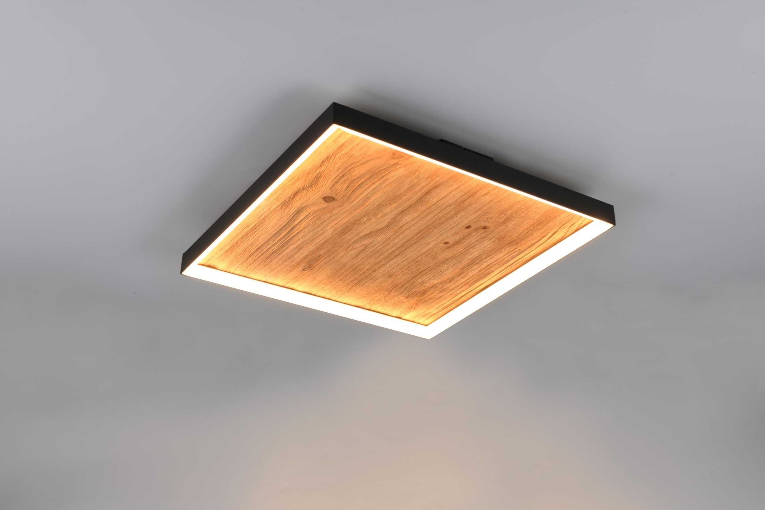 Trio Leuchten LED-Deckenleuchte 1flg image number 2