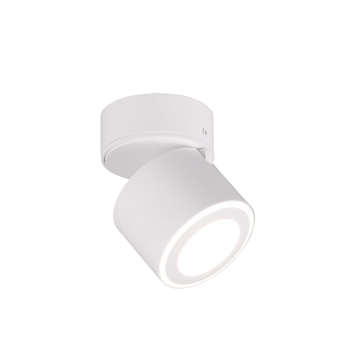 Trio Leuchten LED - Deckenleuchte 1flg image number 1