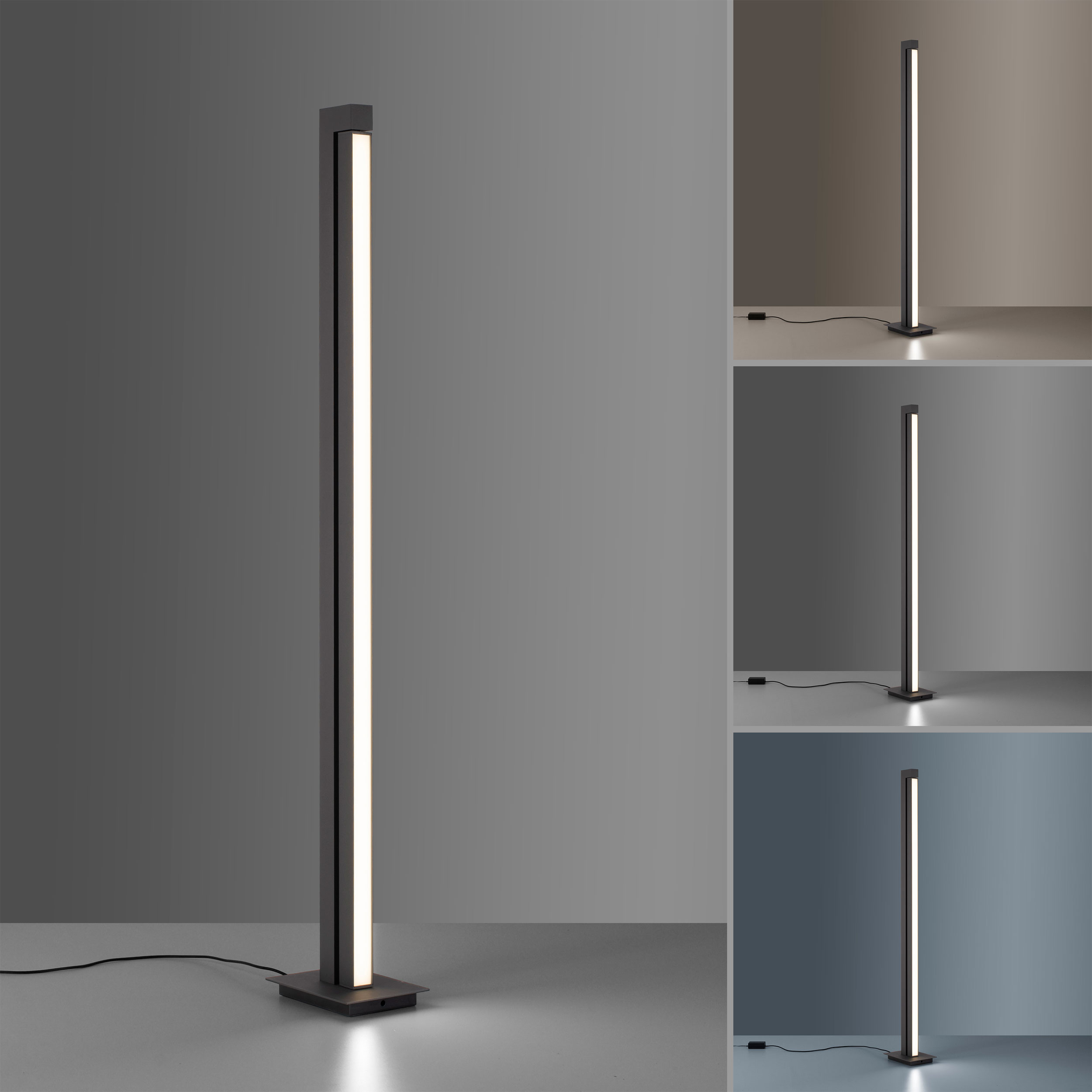 LED-Stehleuchte 1flg image number null