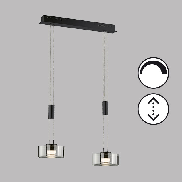 LED-Pendelleuchte 2flg image number null