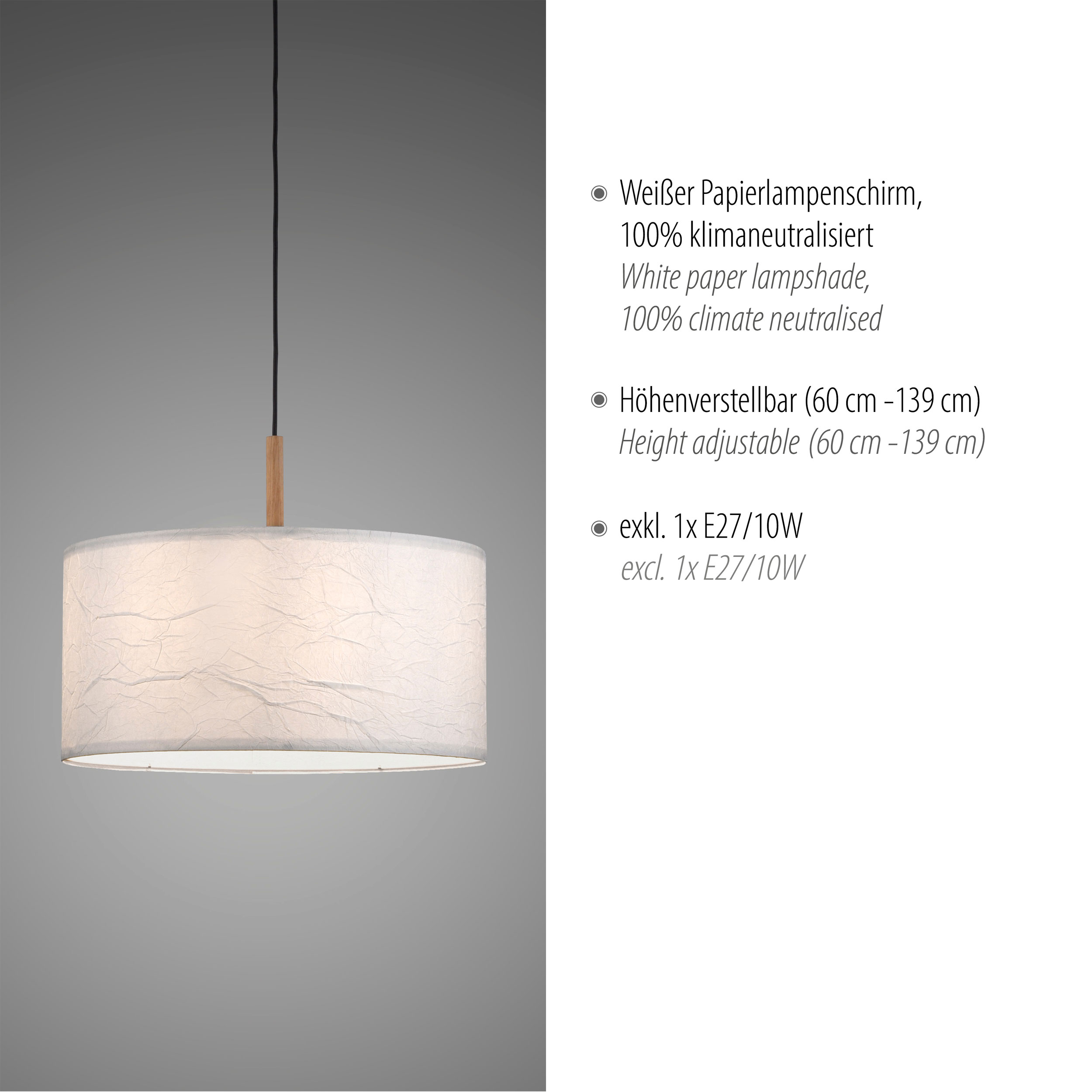 Pendelleuchte 1flg image number null
