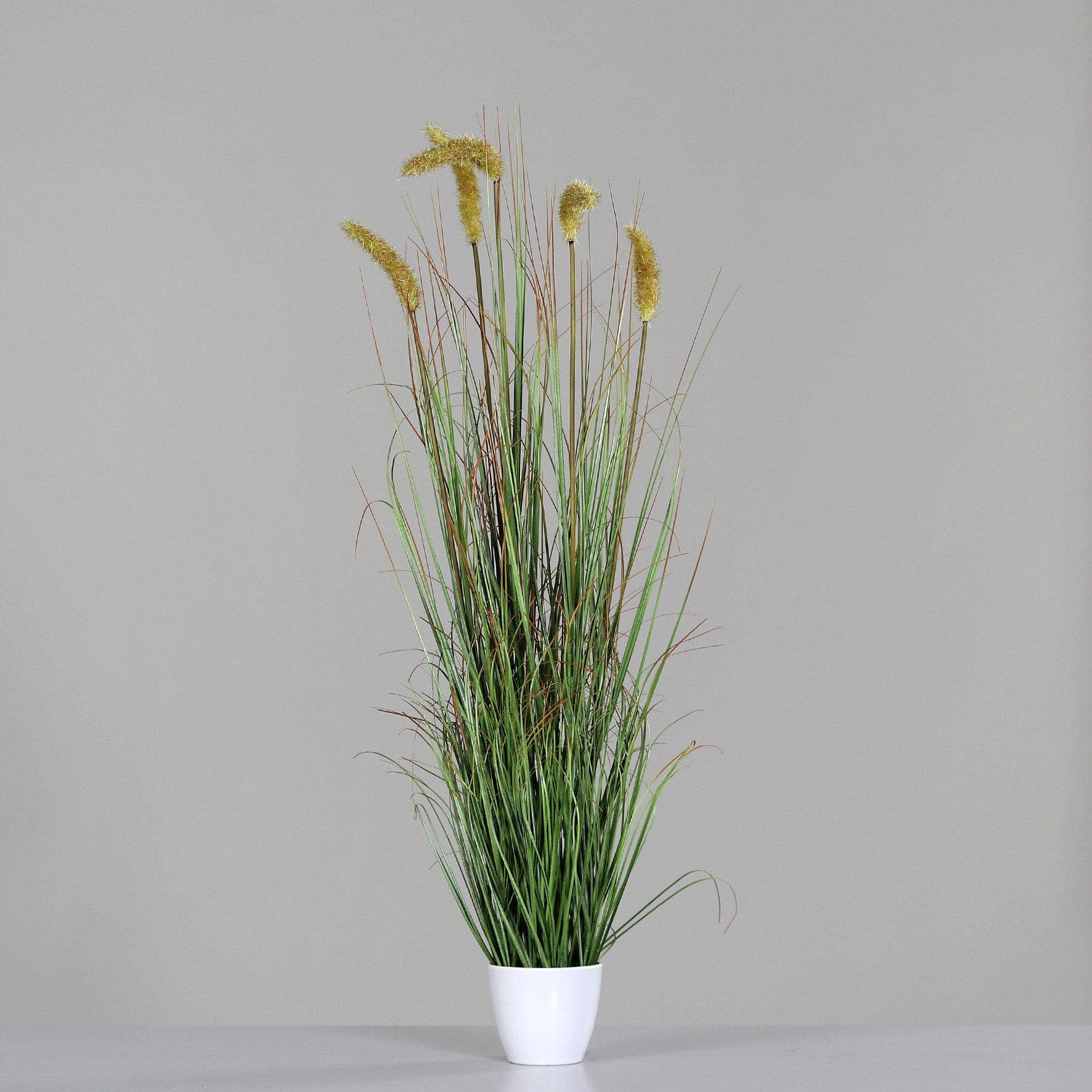 Gras m. Fruchtstand 100cm image number null