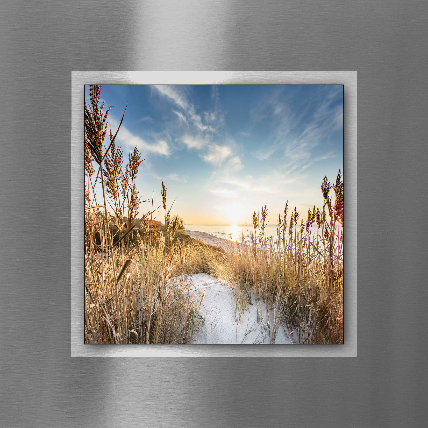 Pro Art Aludibond 50x50cm image number 1