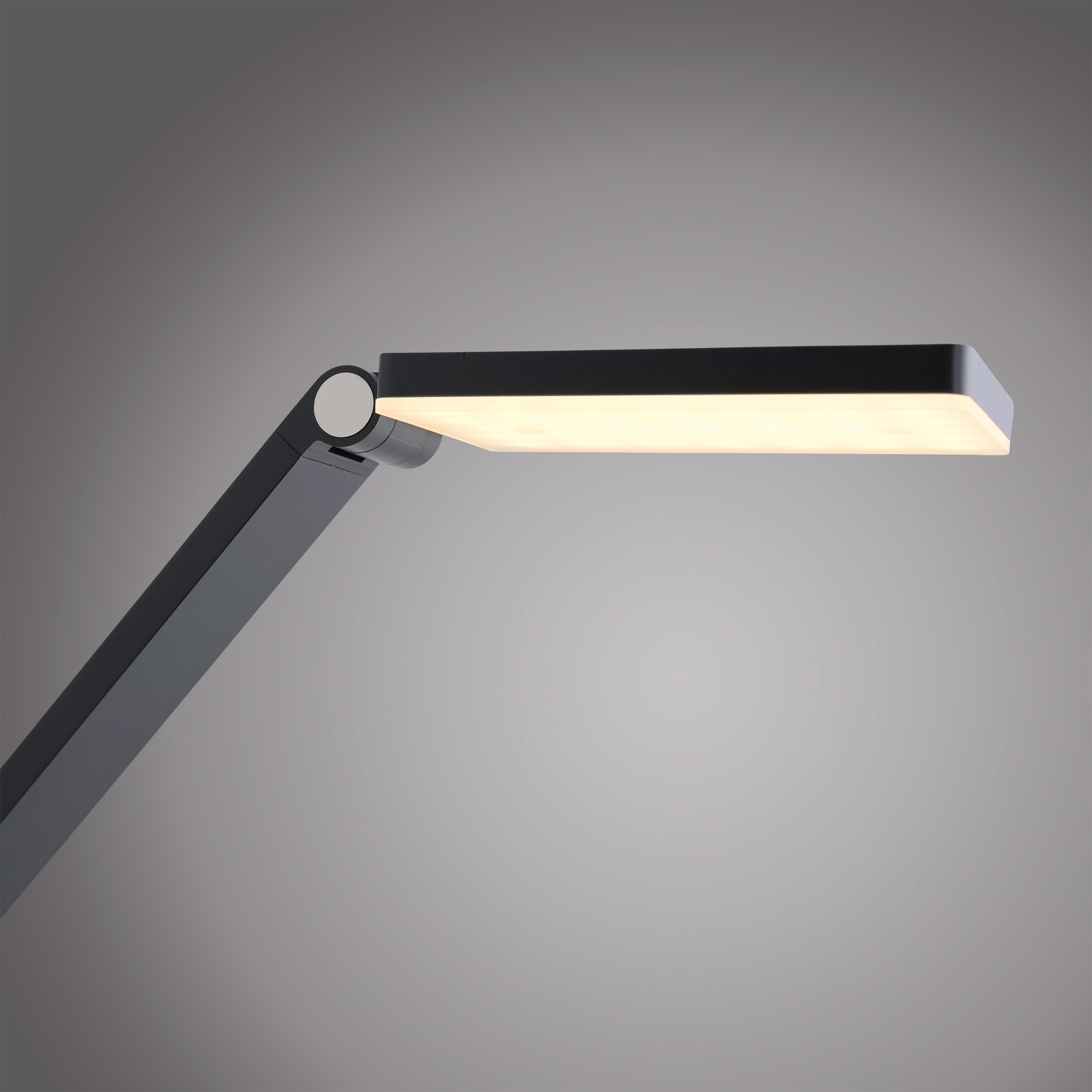 Paul Neuhaus LED-Stehleuchte 1flg image number 4