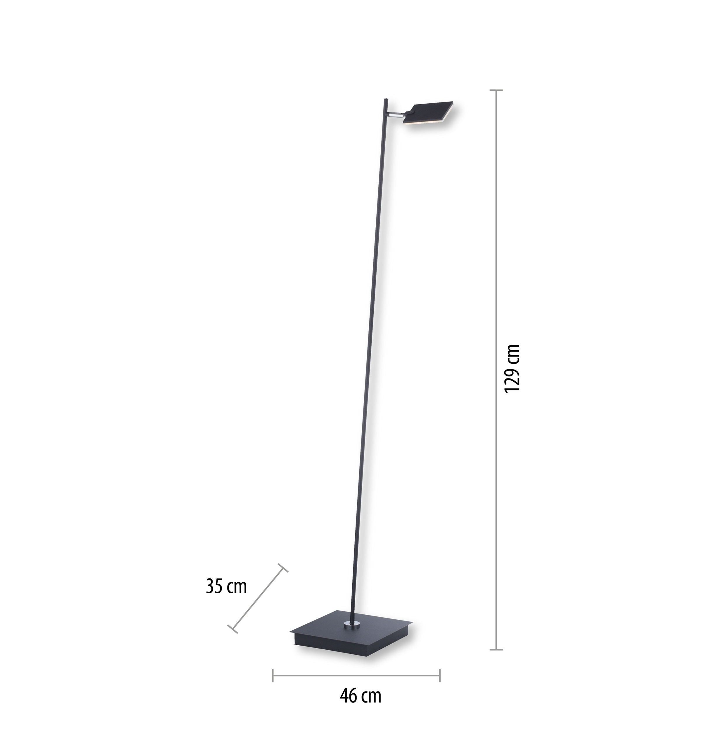 Paul Neuhaus LED-Stehleuchte 1flg image number 2