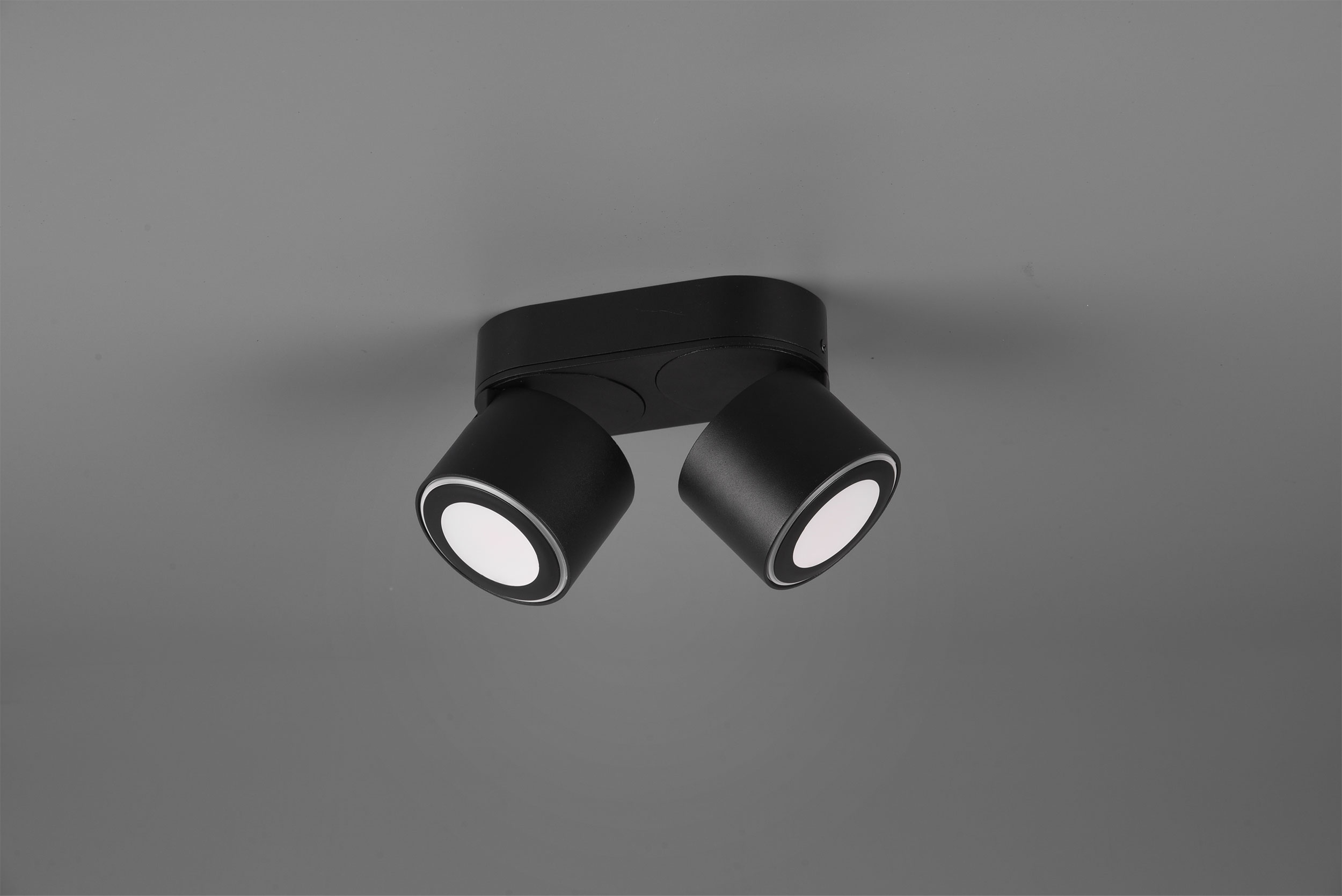 LED - Deckenleuchte 2flg image number null