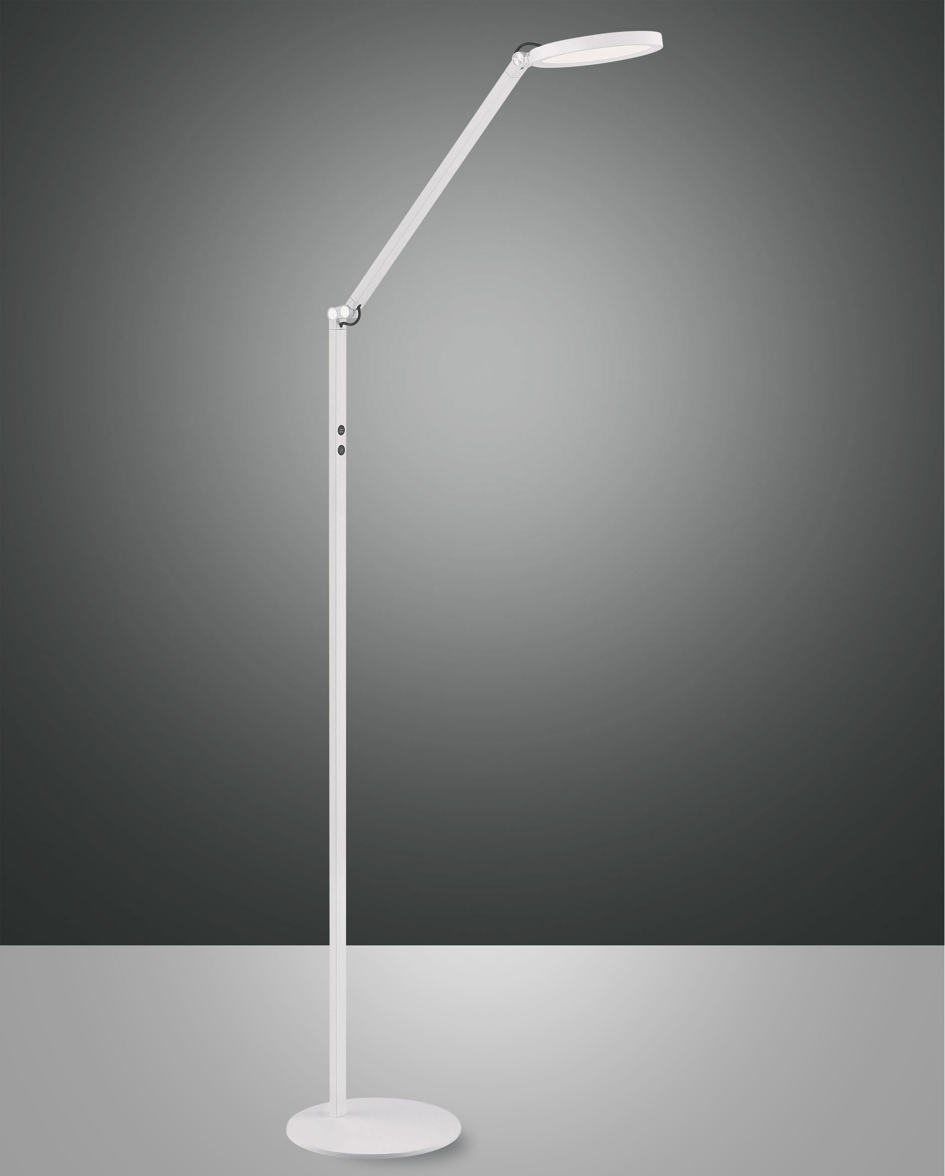 LED-Steh/Leseleuchte 1flg image number null