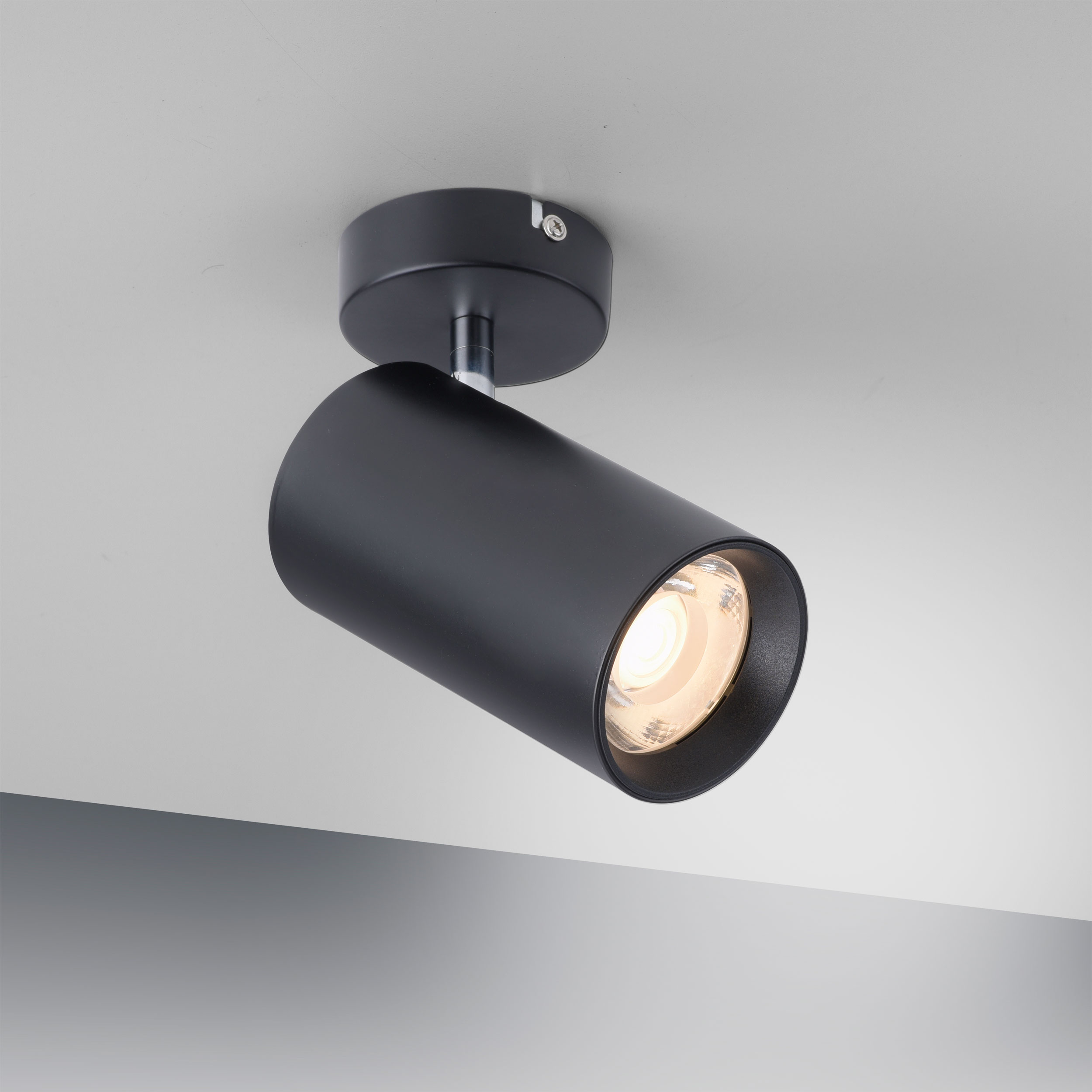 Paul Neuhaus LED-Deckenleuchte 1flg image number 8
