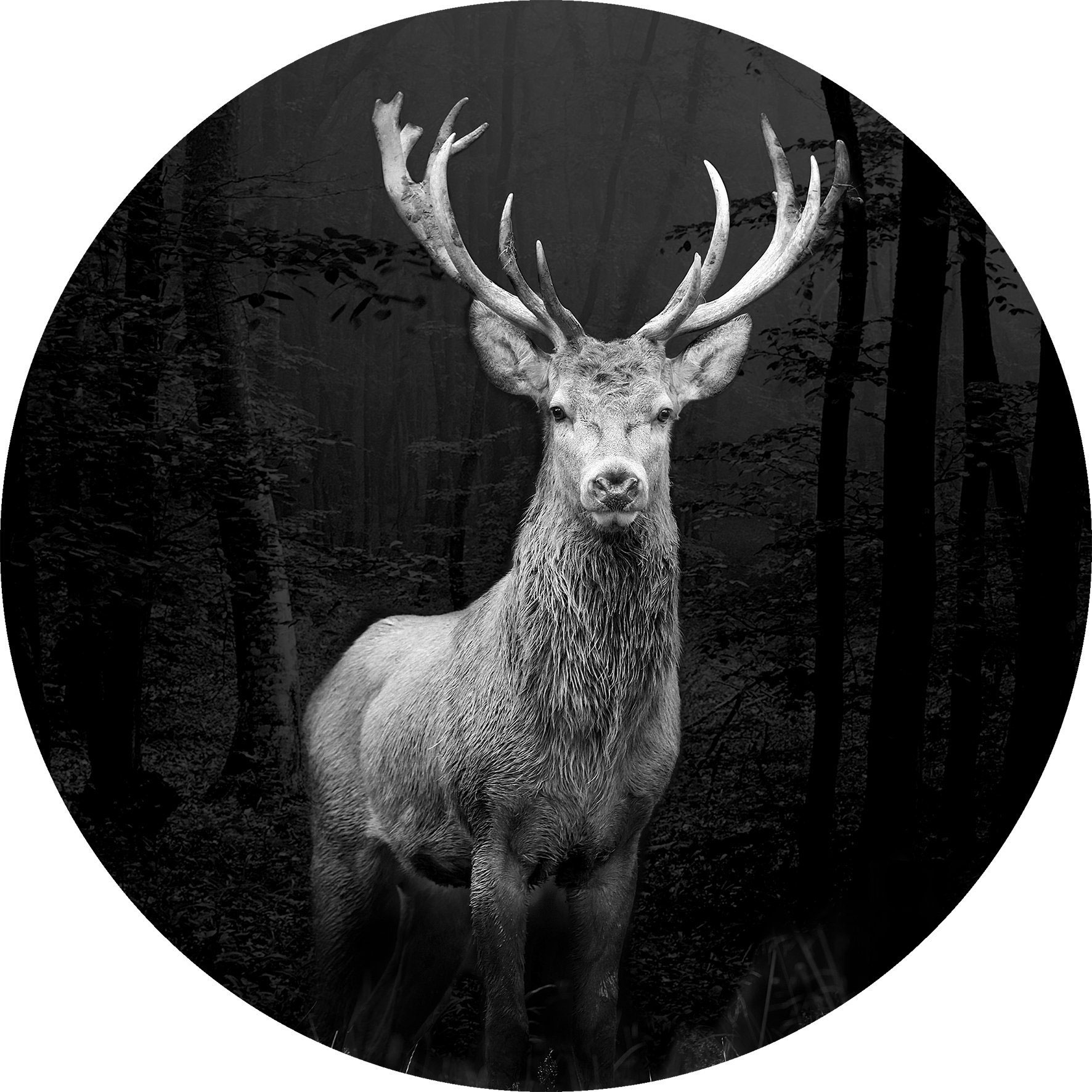 Pro Art Glasbild rund 30cm image number 1