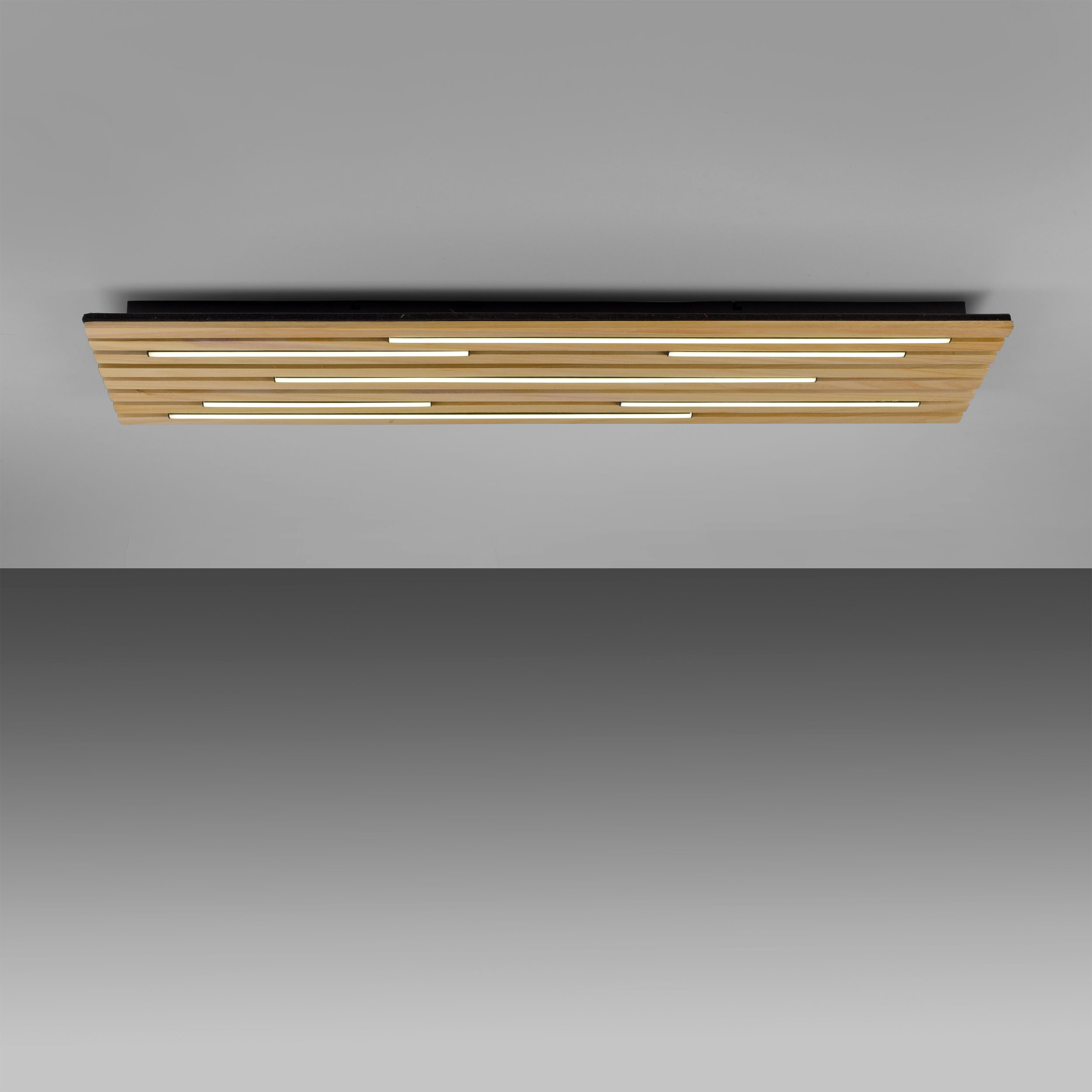 Paul Neuhaus LED-Wand-u. Deckenleuchte 1flg image number 6