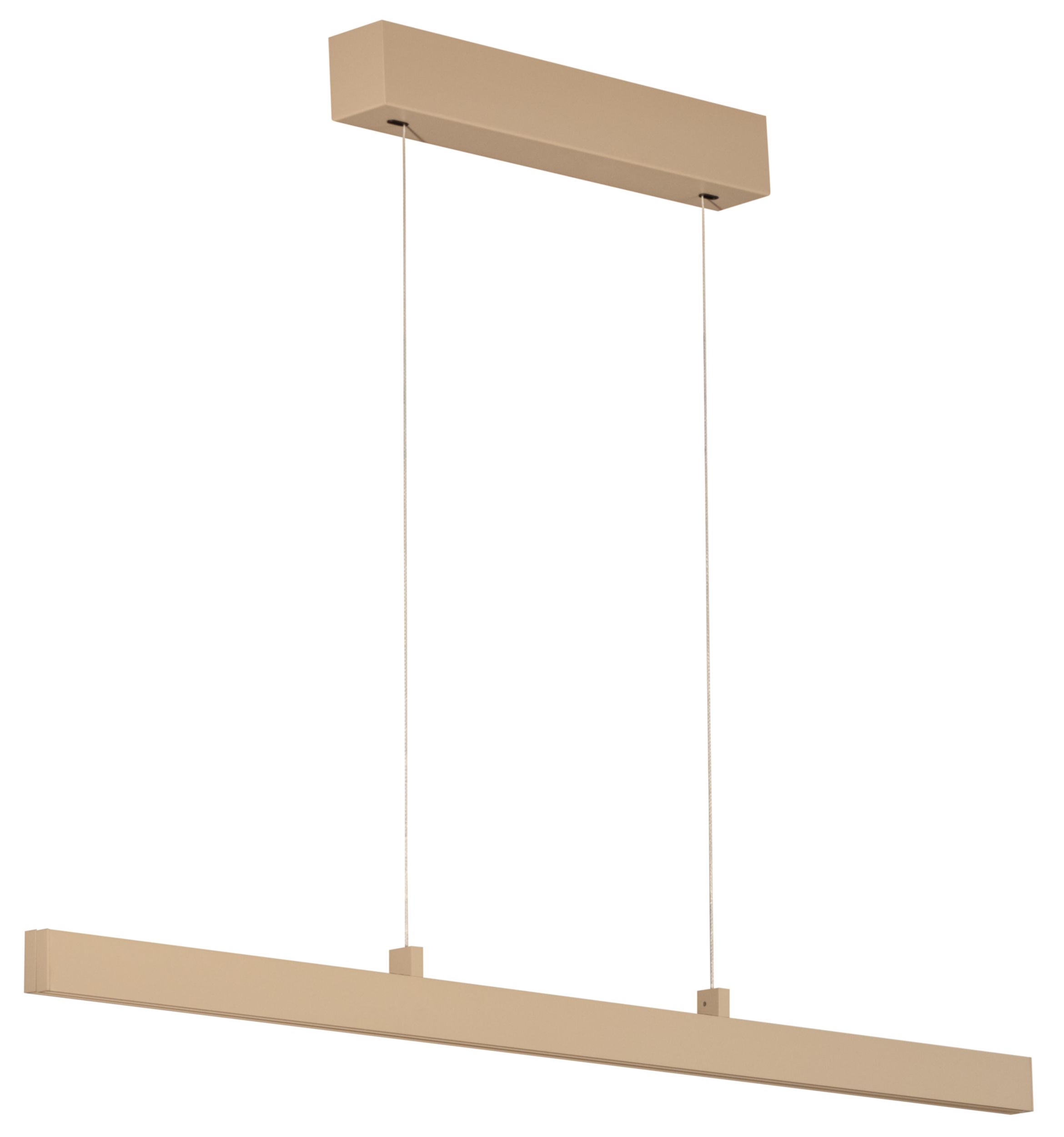Fischer & Honsel LED-Pendelleuchte 2flg image number 1