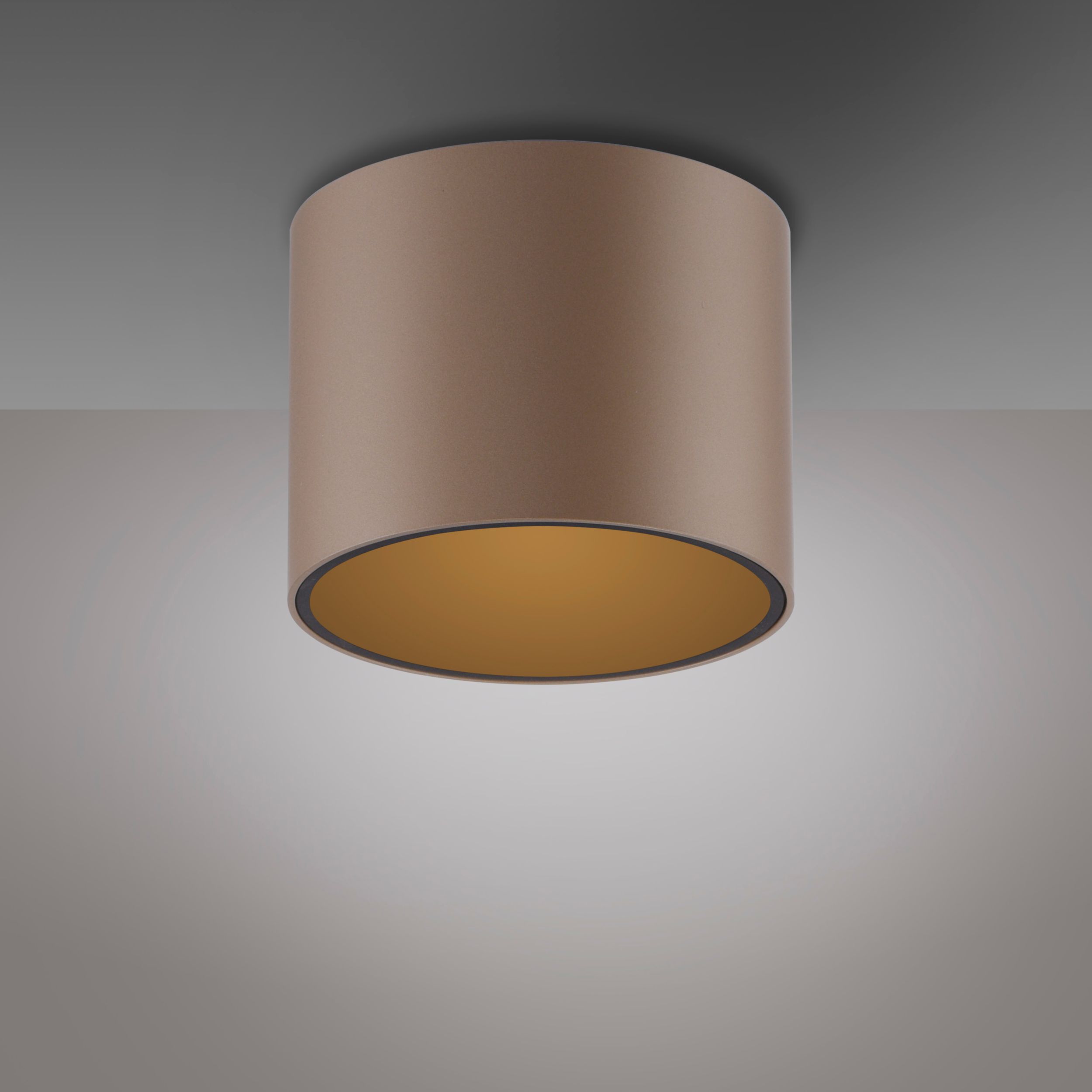 Paul Neuhaus LED-Deckenleuchte 1flg image number 5
