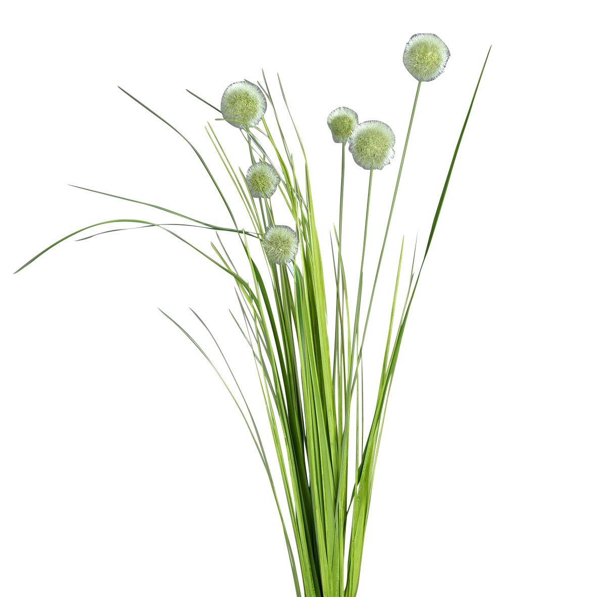 DPI Kugelgras 70cm