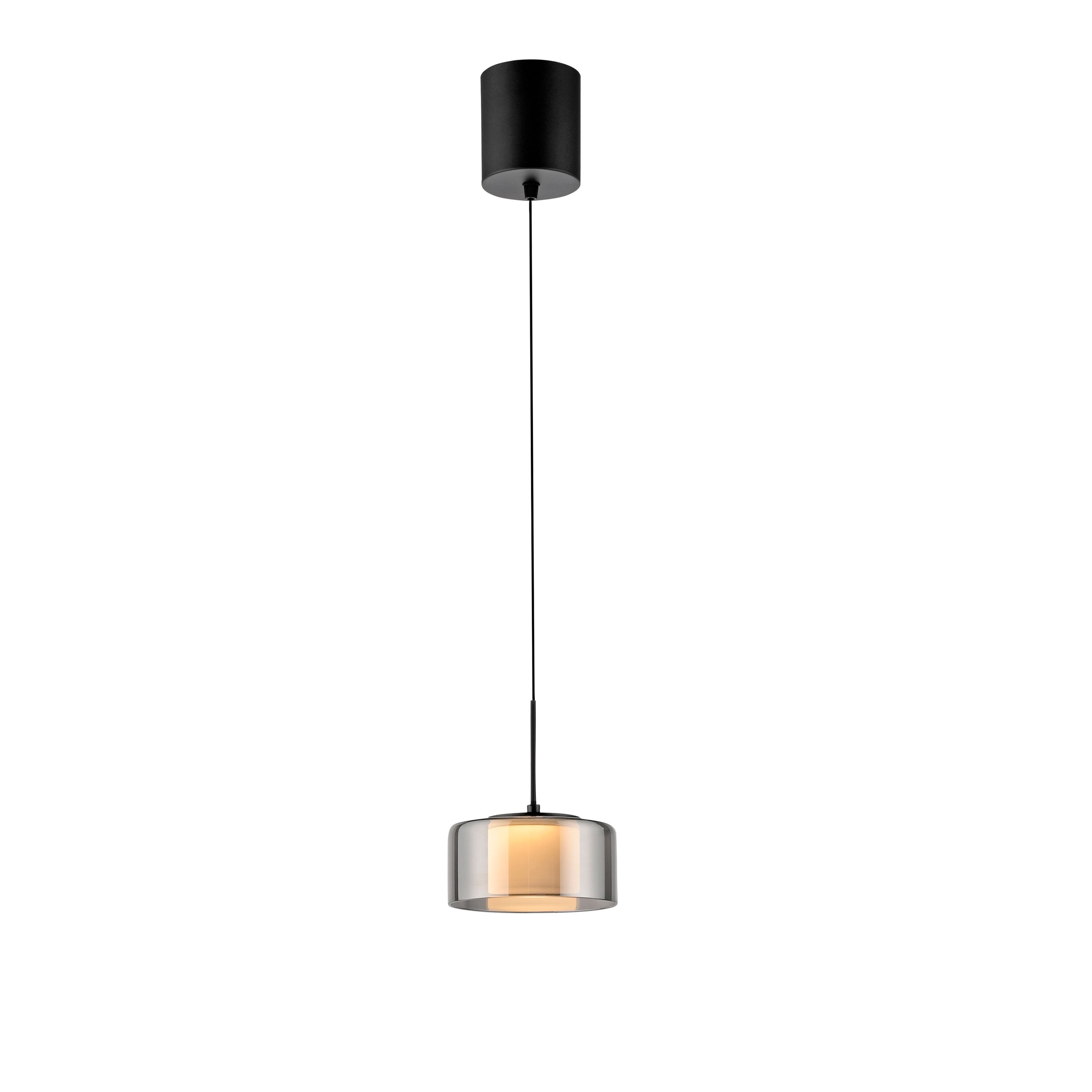 Paul Neuhaus LED-Pendelleuchte 1flg image number 1