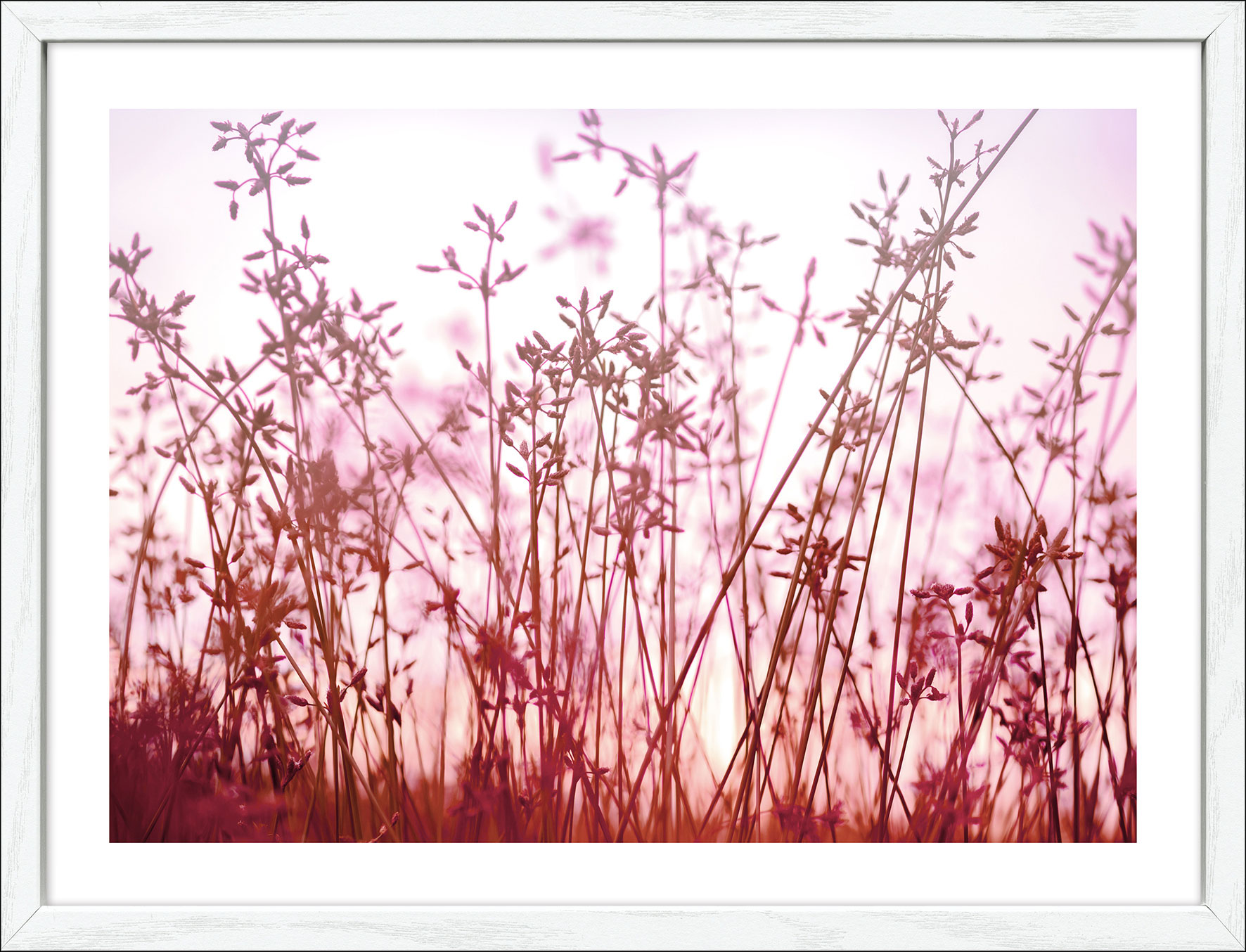 Pro Art Kunstdruck gerahmt 32.5x42.5cm image number 1