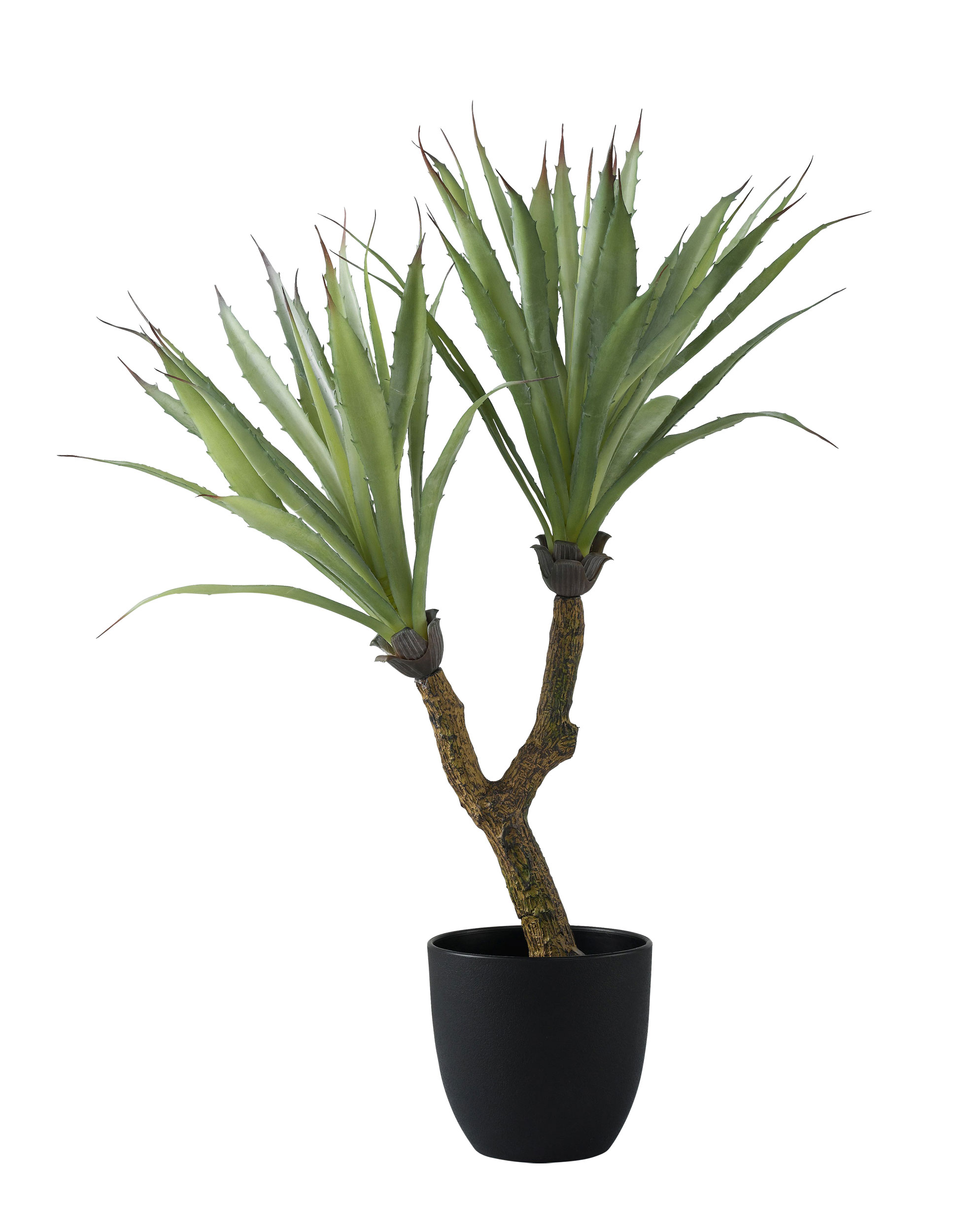 casa NOVA casaNOVA Kunstpflanze 65cm image number 1