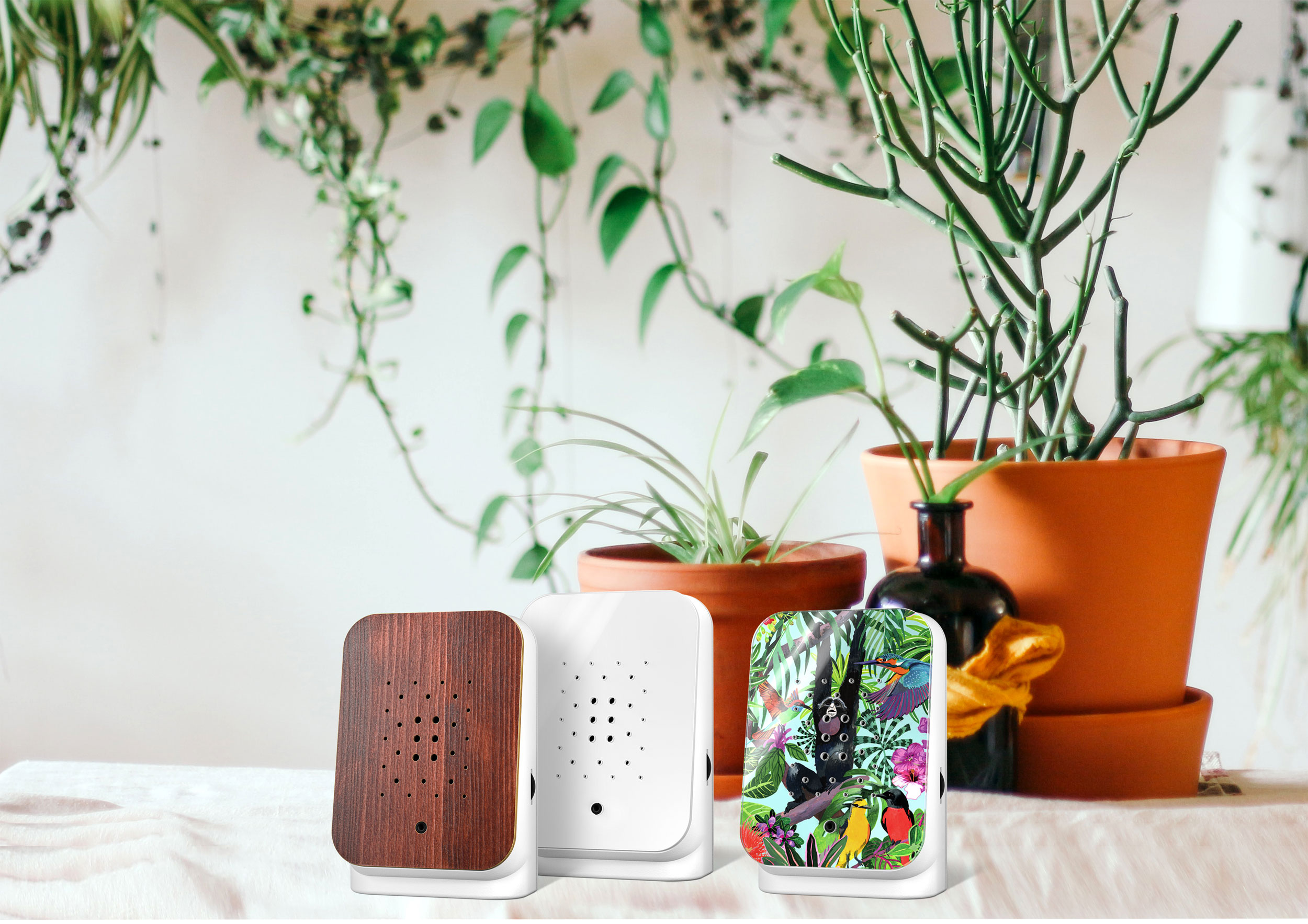 Junglebox Classic image number null