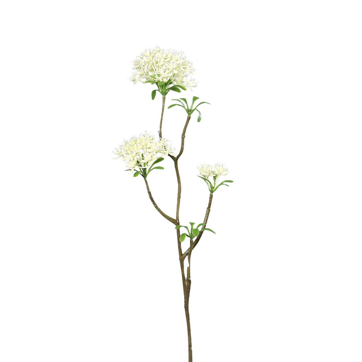 Bowardien 54cm image number null