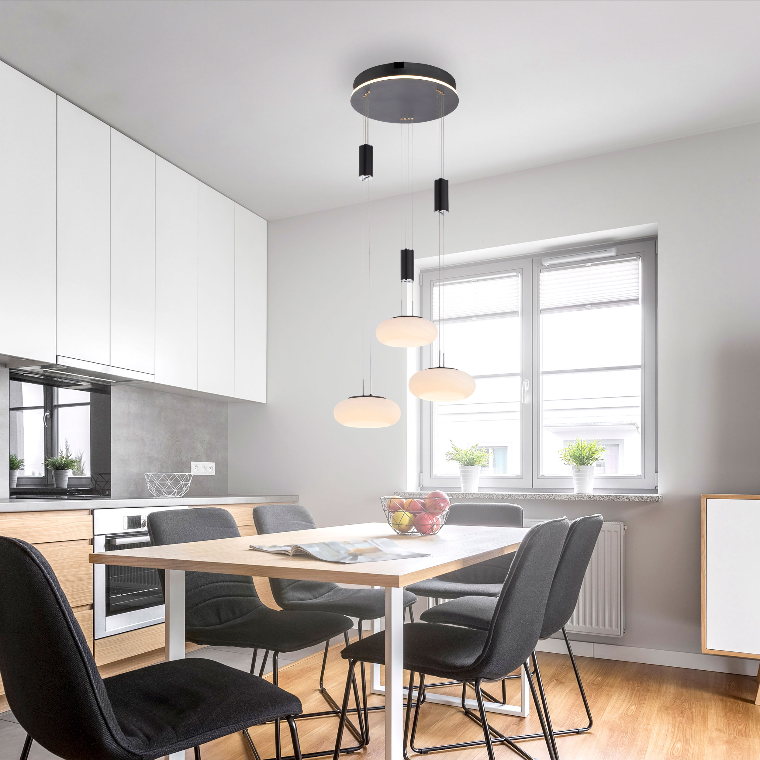 Paul Neuhaus LED-Pendelleuchte 4flg image number 7