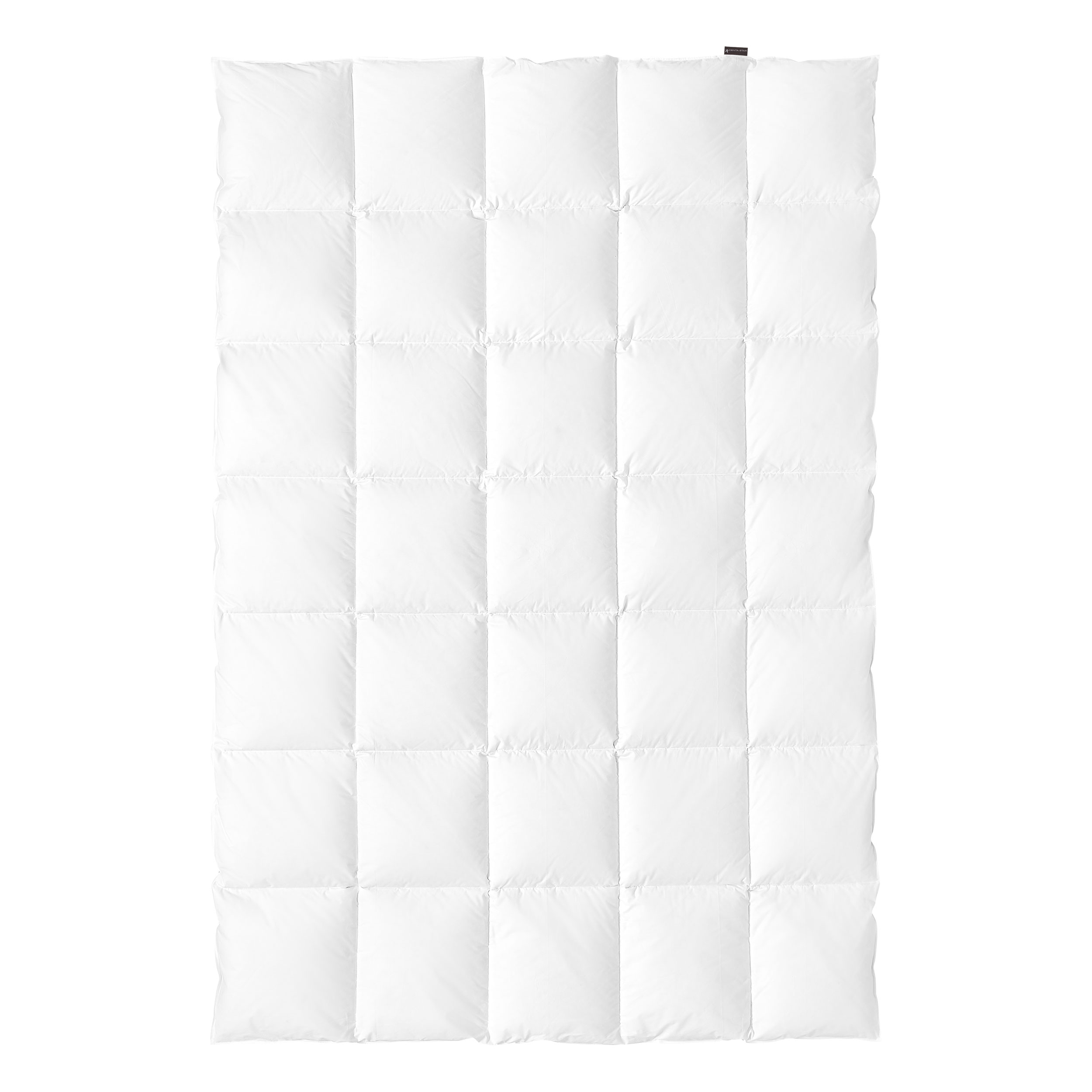 Ganzjahresbett 520g (medium) image number null
