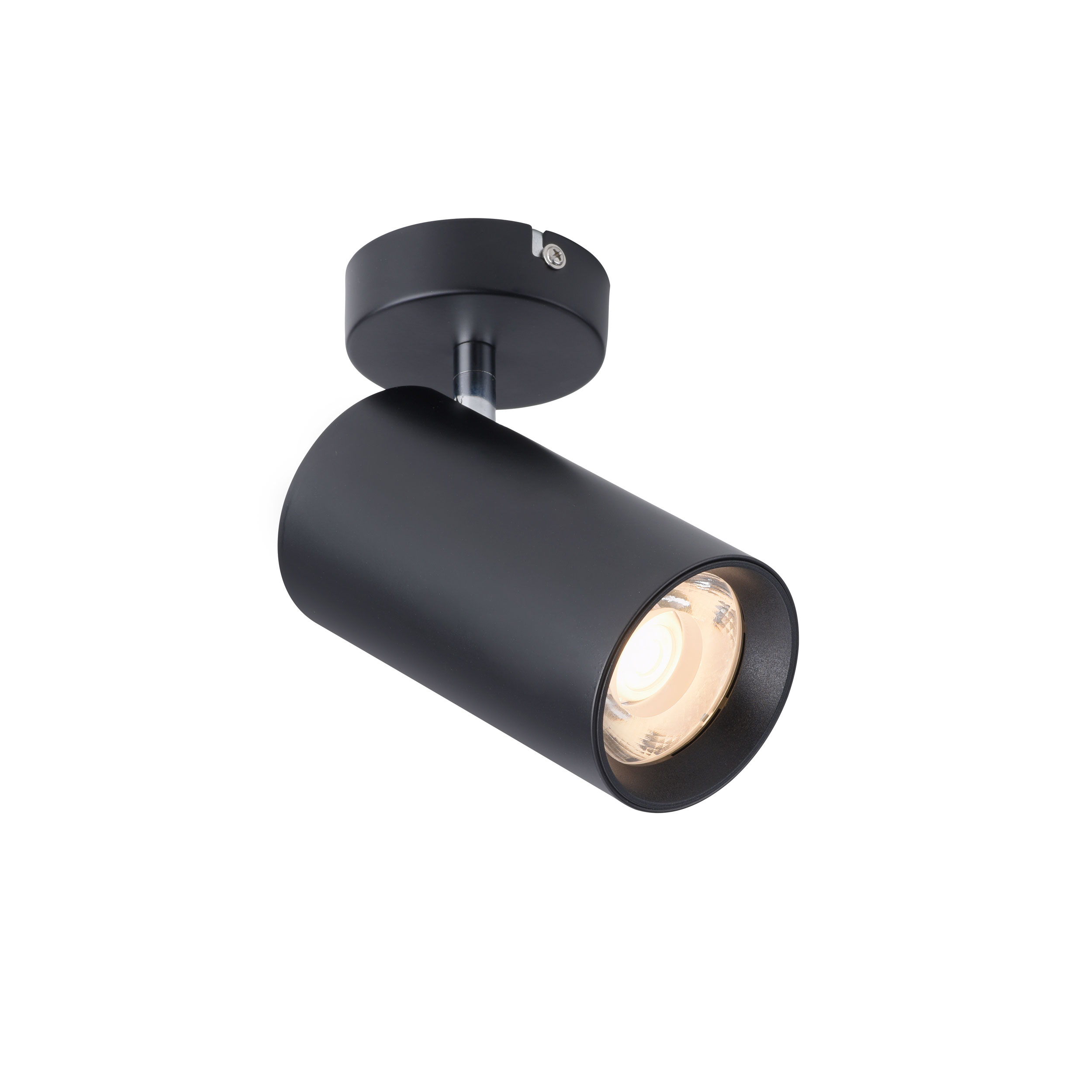 Paul Neuhaus LED-Deckenleuchte 1flg image number 1