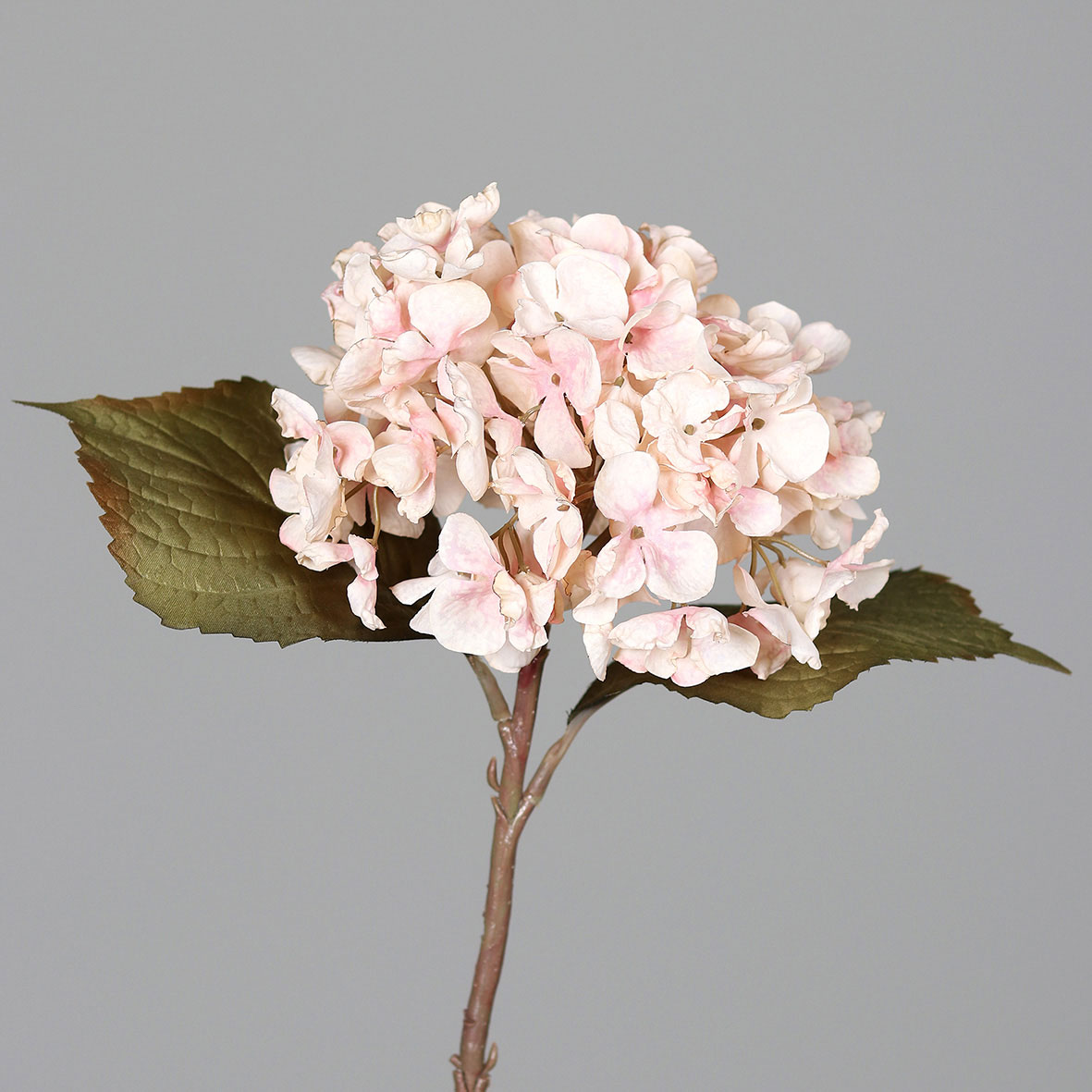 DPI Hortensie 45cm image number 1