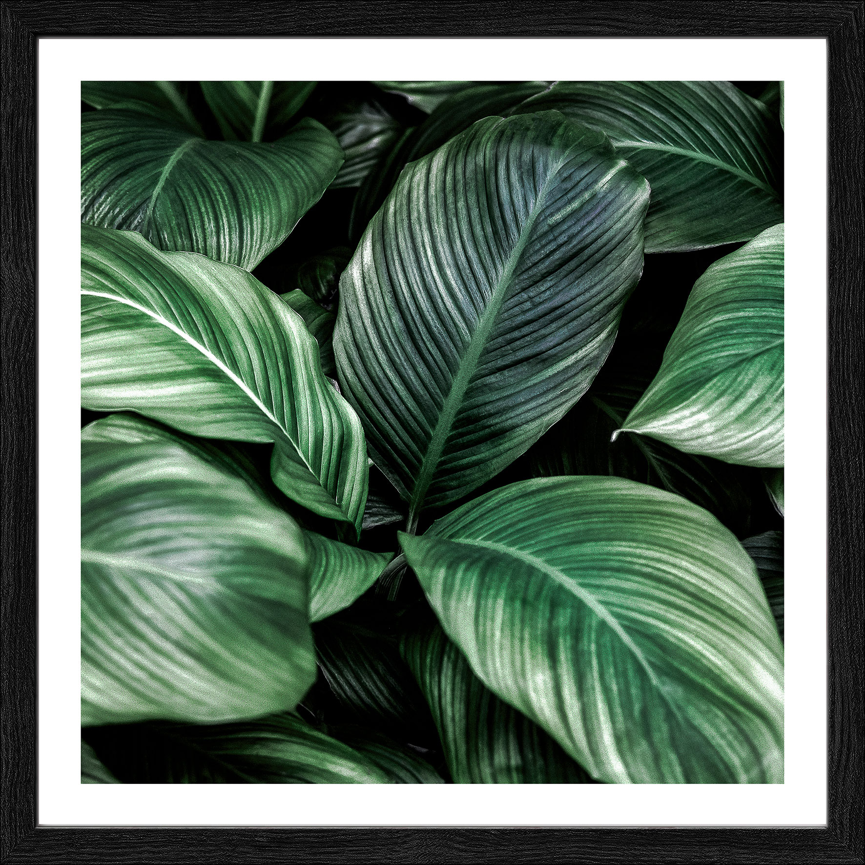 Kunstdruck gerahmt 28x28cm image number null