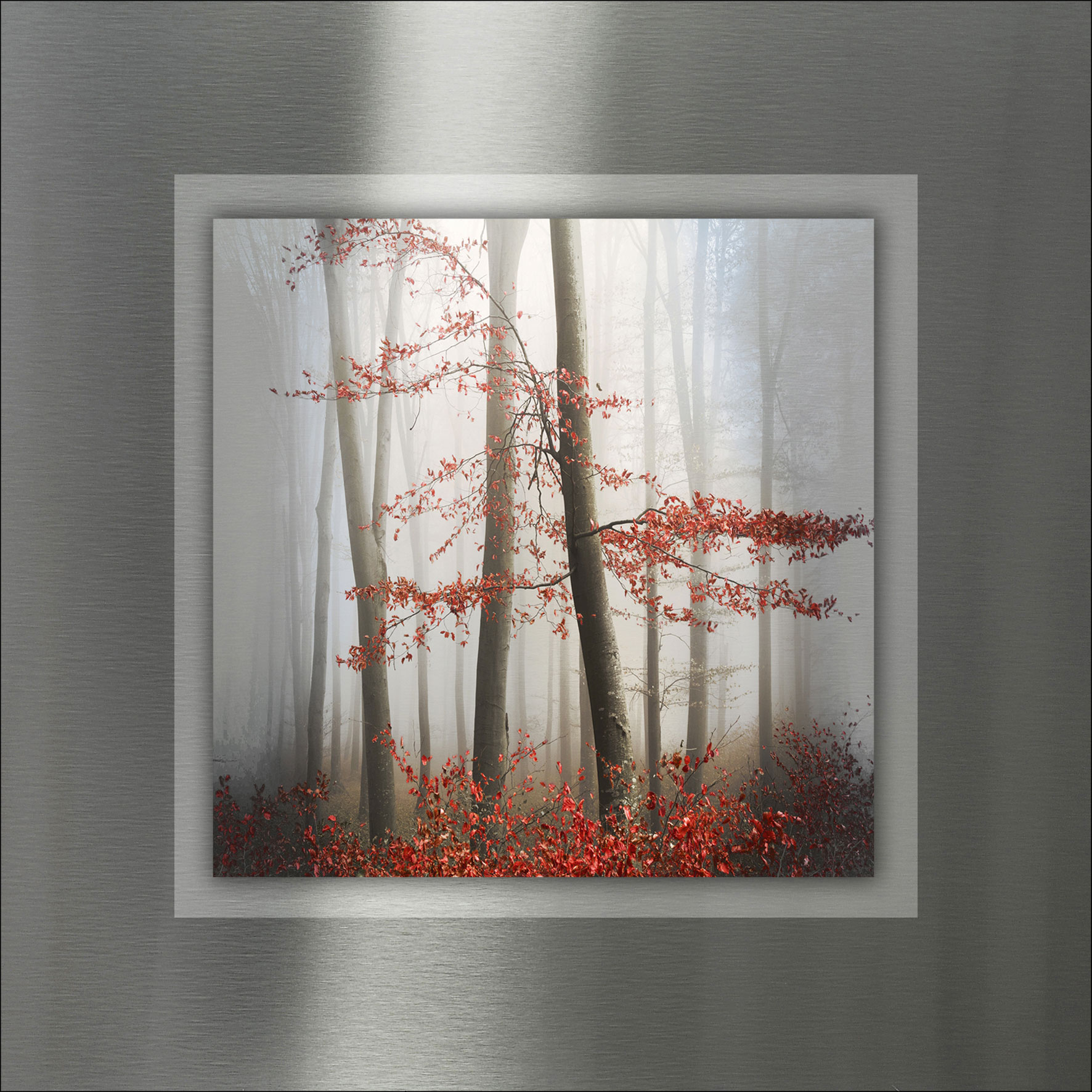 Pro Art Aludibond 50x50cm image number 1