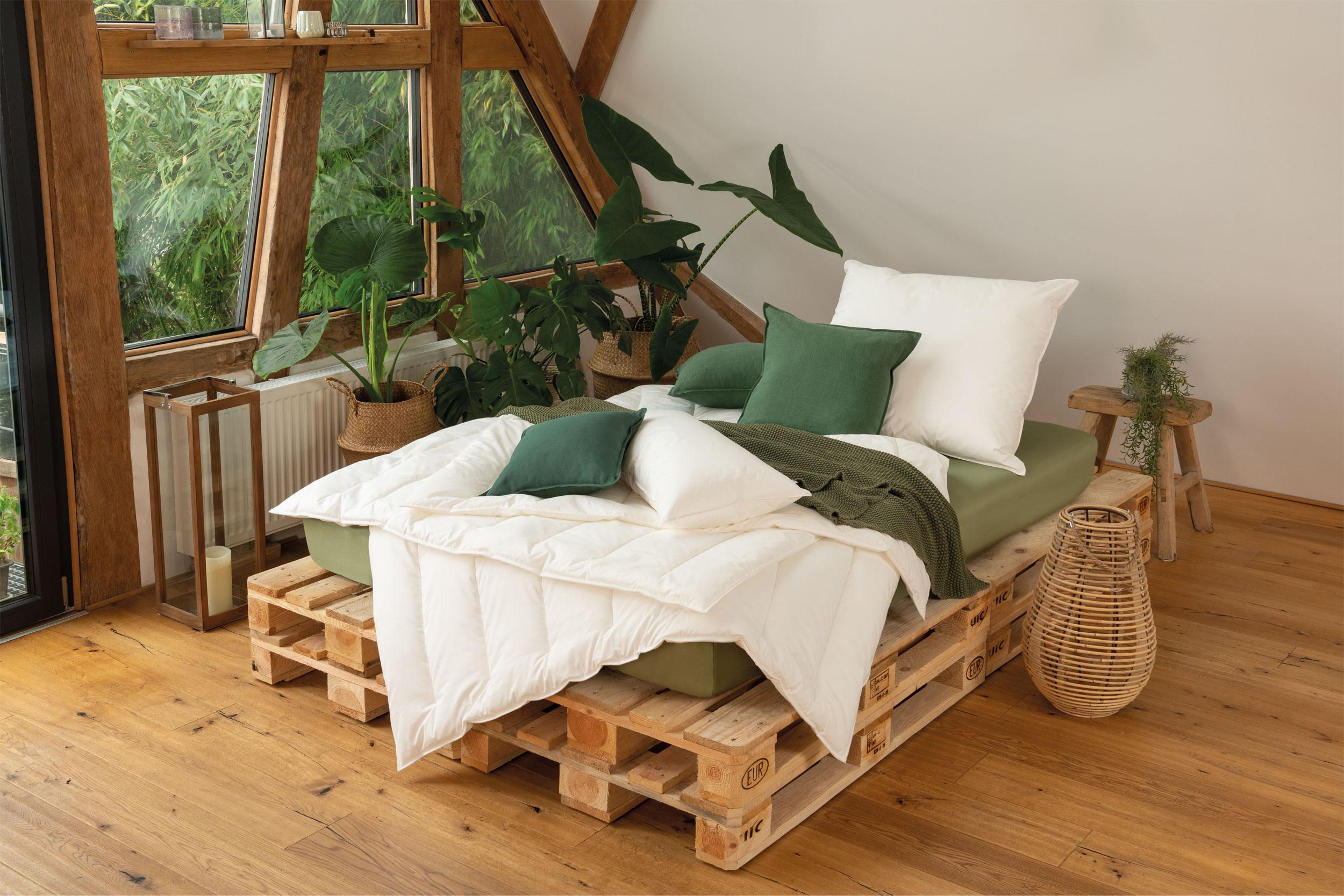 Ganzjahresbett 900g image number null