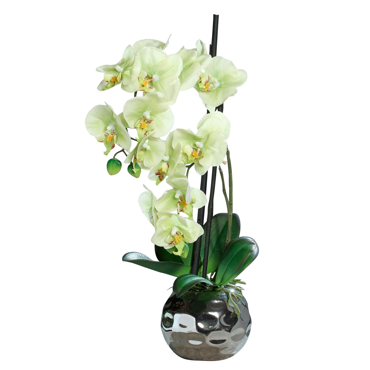 DPI Orchidee in Keramikschale 50cm