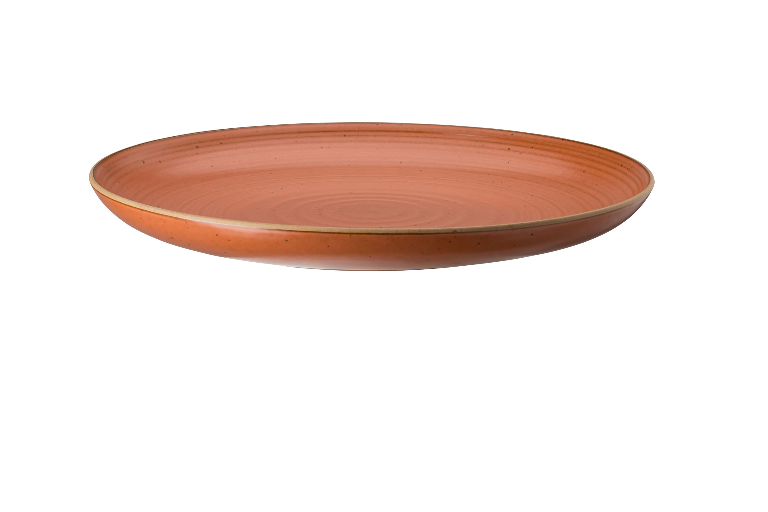 Rosenthal Speiseteller 27cm image number 2