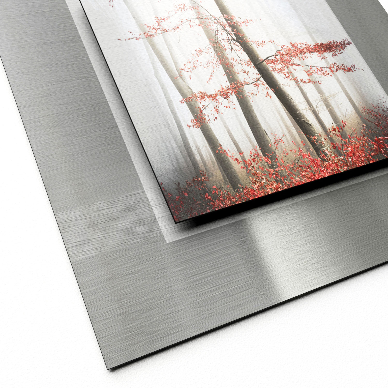 Pro Art Aludibond 50x50cm image number 2