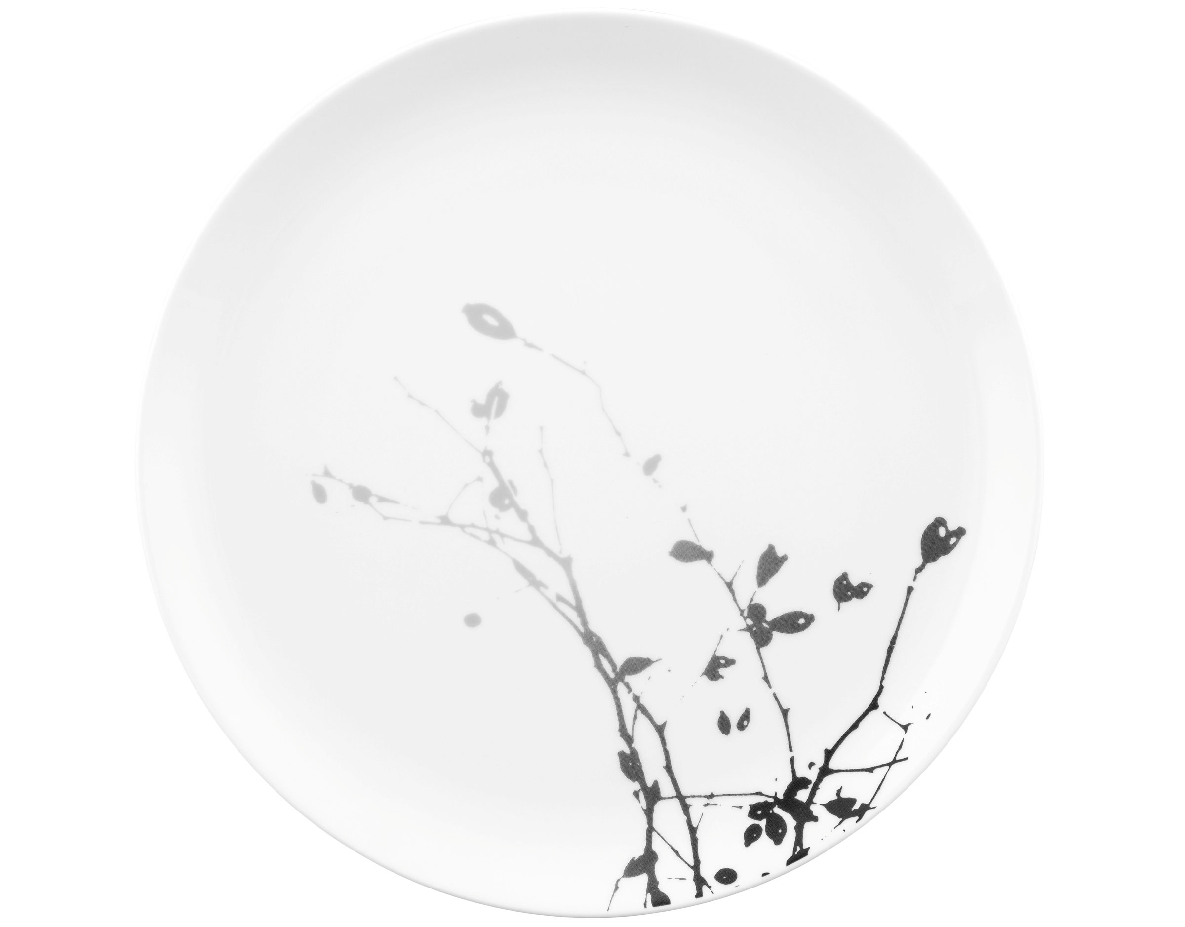 Seltmann Speiseteller rund 27,5cm image number 1