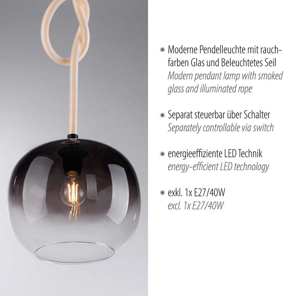 Paul Neuhaus Pendelleuchte 2flg image number 3