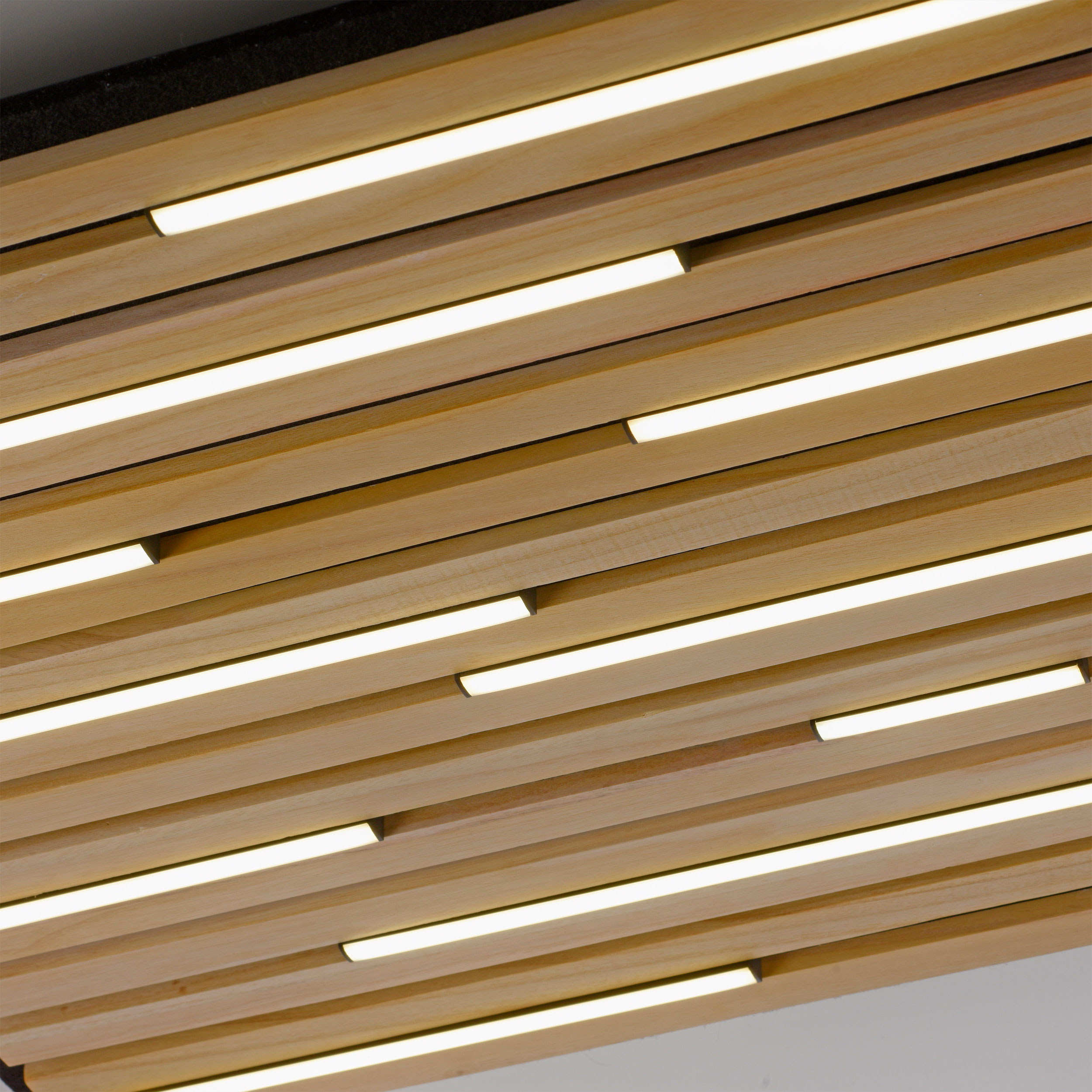 Paul Neuhaus LED-Wand- u.Deckenleuchte 1flg image number 3