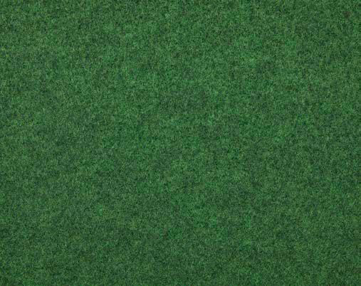 Luxor Outdoor-Teppich Kunst-Rasen image number 2