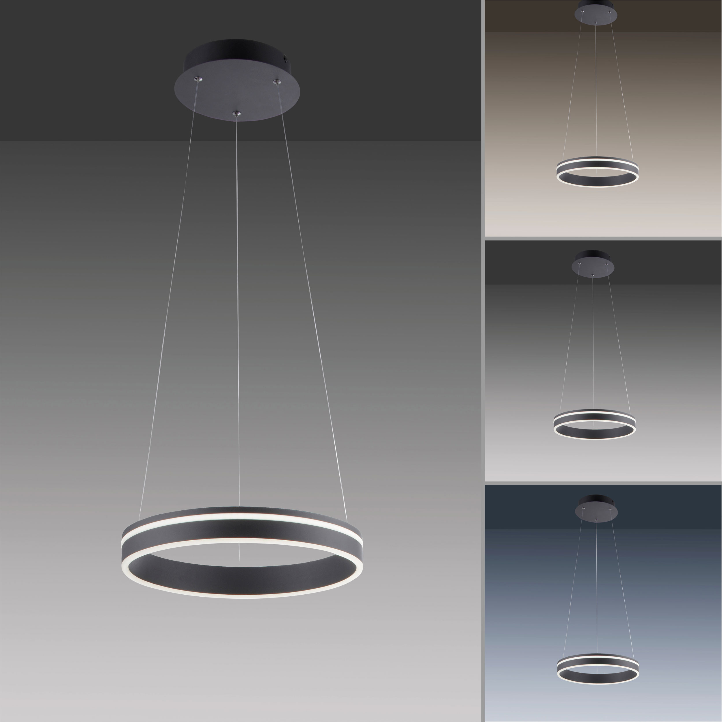 Paul Neuhaus LED-Pendelleuchte 1flg image number 6