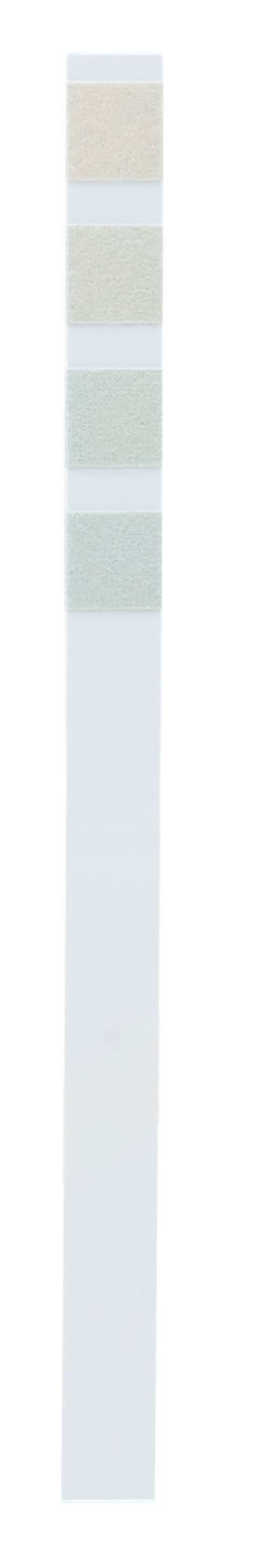 WMF CE Entkalker image number 2