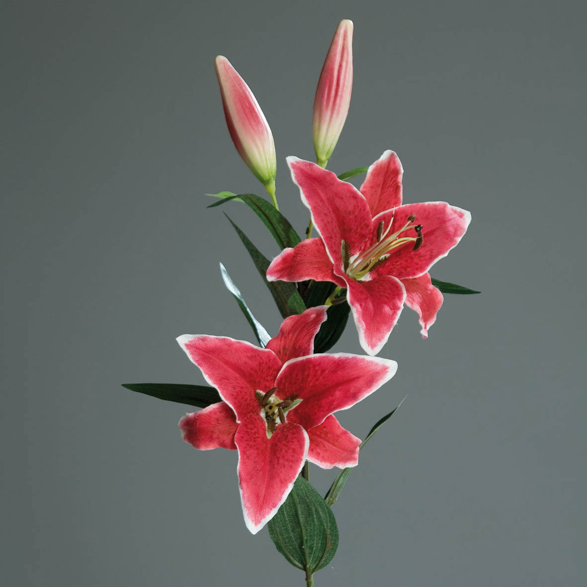 DPI Promotion-Lilie 84cm image number 1